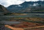 Farming in Valley, After Gyantse, Tibet