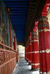Cols. Of Chanting Hall, Drepung Monastery, Tibet