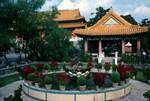 Po Lin Monastery - Temple, Pool & Flowers, Lantau Island, Hong Kong