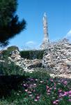 Column & Livingstone's Daisies, Aegina, Greece