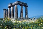 Columns & Flowers, Corinth, Greece