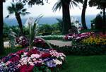 In Augusta Garden, Capri, Italy