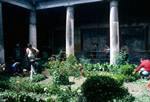 Garden Courtyard, Pompeii, Italy