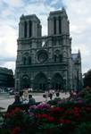 Notre Dame & Rhodies, Paris, France