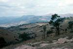 Hills, Trees, Swaziland