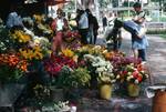 Flower Stall, Durban, South Africa