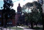 Old Town Hall & Trees, Pietermaritzburg, South Africa