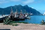 Hout Bay - Harbour, On Way to Cape, South Africa