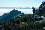 Oscar Against Mist, Table Mountain, South Africa