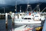 Marlin Boats in Harbour, Cairns, Australia