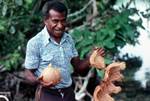 Island - Splitting Coconuts, Madang, Papua New Guinea