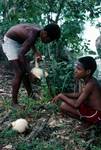Island - 2 Boys & Coconut, Madang, Papua New Guinea