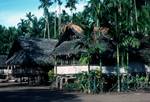 Bilbil Village - Group of Houses, near Madang, Papua New Guinea