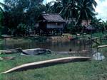 House & Canoes, Timbunke, Papua New Guinea