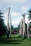 Ruined Pillars of Old Men's House, Palumbei, Papua New Guinea