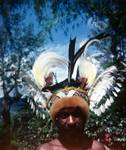 Man with Bird of Paradise Headdress, Highlands, Papua New Guinea