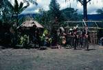 Group, Headdress, Village near Mt Hagen, Papua New Guinea