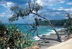 From National Park, Noosa Heads, Australia