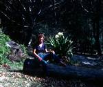 Marg Sitting on Tree, Noosa Heads, Australia