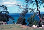 Salt Water River - Coastal Scenery Near Egglehawk Neck, Tasmania, Australia