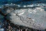 Eaglehawk Neck - Bay, Tessellated Pavement, Tasmania, Australia