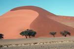 Dune, Namib National Park, Namibia