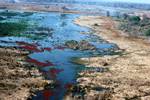 Swamps - 'Rust Lichen', From Plane, Botswana