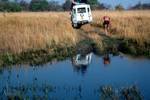 Land Rover & Pool, Moremi, Botswana