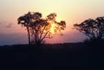 Sunset, So Chobe National Park (Savuti), Botswana