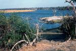 Chobe River, Serondela, Botswana