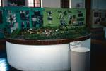 Forestry Research Institute - Display - Social Forestry, Dehra Dun, India