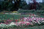 Forestry Research Institute - In Garden, Flower Beds, Dehra Dun, India