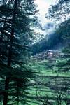 Village on Hillside, Shojah to Banjar, India