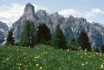 Sassongher & Flowery Foreground, Corvara Area, Col Alto, Italy