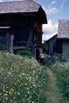 Meadow, Old Barn & Bob, La Villa, Italy