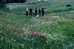 Flowery Meadow & Group, From Santa Croce, Italy
