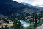Wider Valley & Trees, Gilgit River Valley, Pakistan
