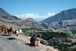 3 Drivers & Donkeys, View of Valley, Kalash Valleys, Pakistan