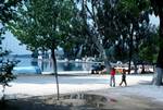Trees & Children, Kala Nera, Greece