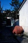 Back Lane & Pottery Jar, Near Afissos, Greece