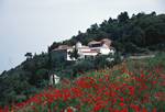 Monastery, Poppies, Skopelos, Greece