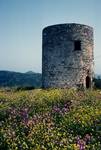 Yellow Flowers & Tower, Alonissos, Greece