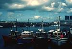 Boats in Harbour, Orkney - Kirkwall, Scotland