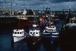 Harbour & Boats, Orkney - Stromness, Scotland