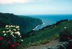 View of North Coast, Punto di Arnel, Portugal - Azores