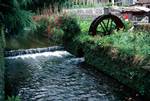 Lade & Mill Wheel, Furnas, Portugal - Azores