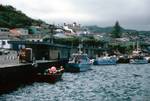 Harbour of Horta, Faial, Portugal - Azores