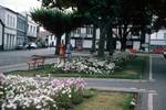 Magdalena - Main Street & Flowers, Pico, Portugal - Azores