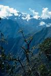 Forest to High Mountain, Peru