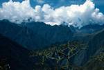 Mossy Tree & Snowy Mountain, Peru